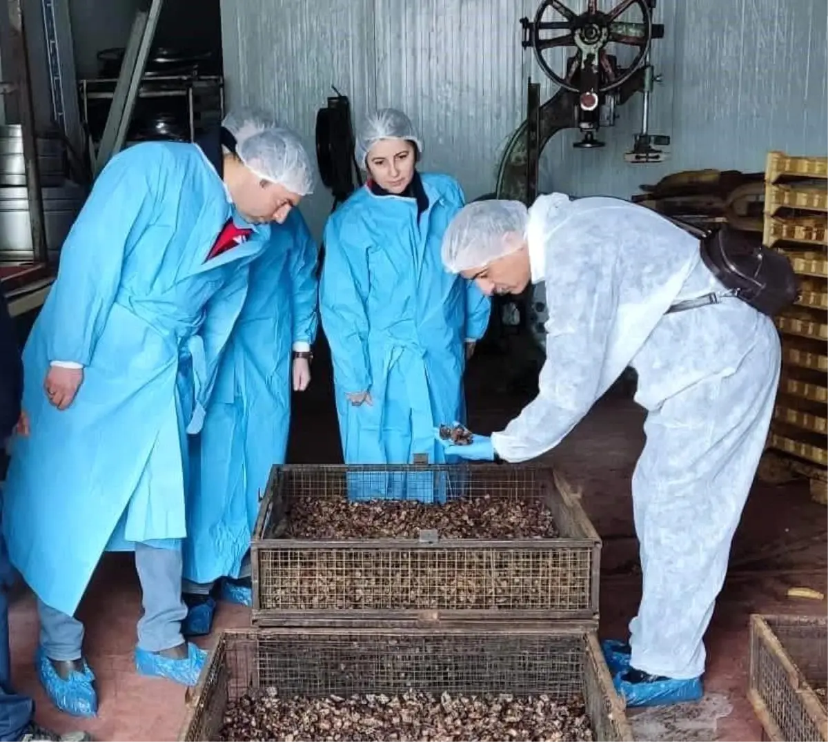 Afyonkarahisar’da Köpek Maması Üretim Tesisi Üzerinde Sıkı Denetim