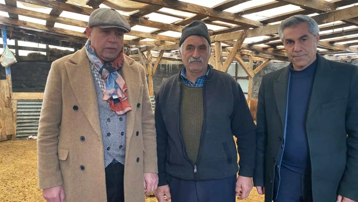 Kars’ta Sisli Havada Bir Kurt 200 Koyunu Yok Etti