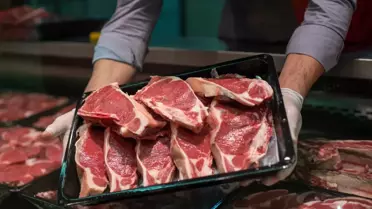 Erzurum’da Kırmızı Et Üretimine Destek: Yeni Pilot Proje Hayvan Çiftliklerini Canlandırıyor