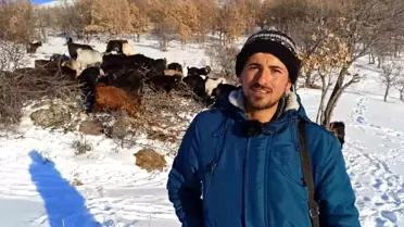 Kış şartlarında hayvanların barınak içindeki fotoğrafı