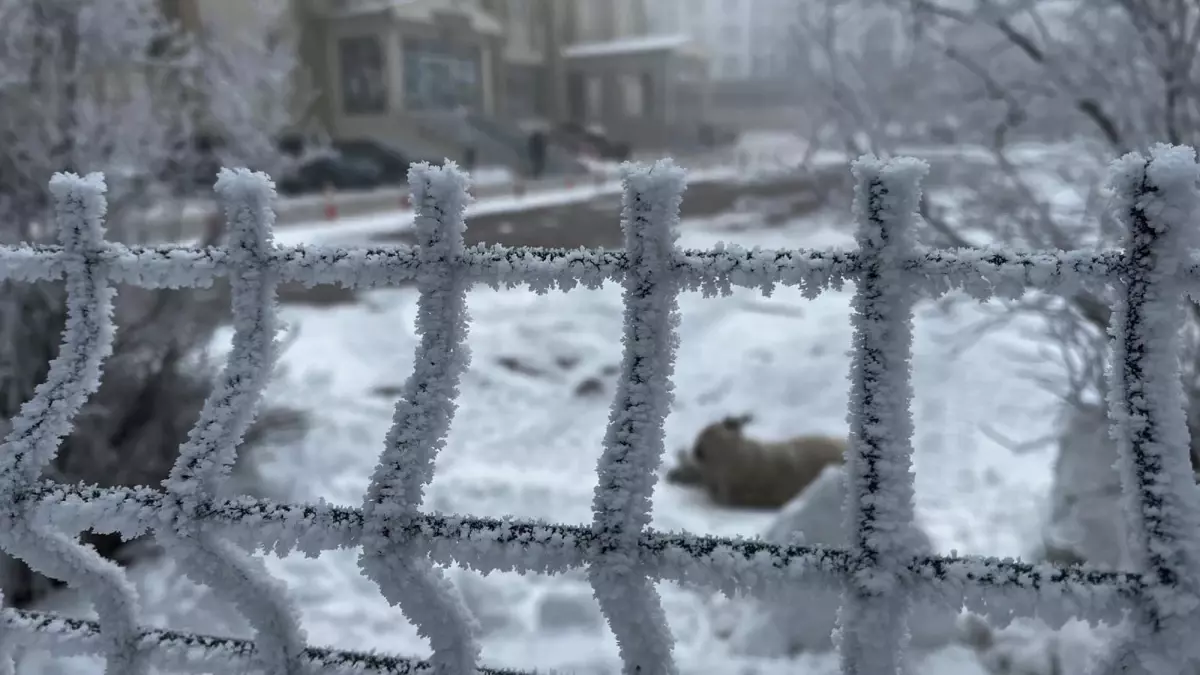 Ardahan’da Eksi 23°C’ye Düşen Sıcaklıklar Buz Sarkıtlarına Yol Açtı