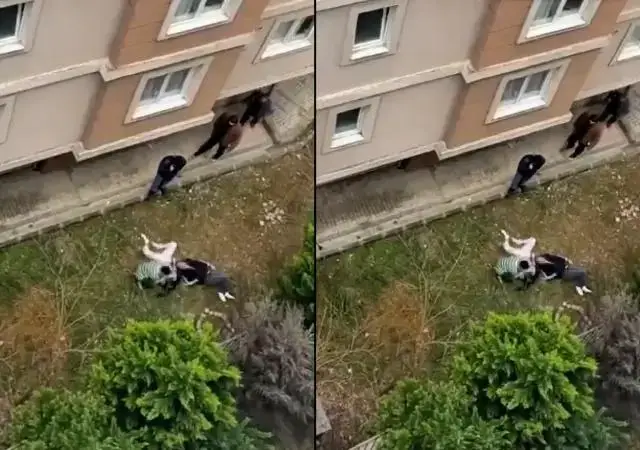 Acil müdahale ekipleri