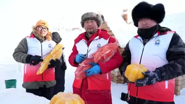 Harbin'de Buz Heykelleri Bitki Boyalarıyla Canlandı