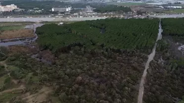 Antalya Aksu’da Hortumun Yıktığı Çam Ormanı Drone Görüntüleriyle Görüldü