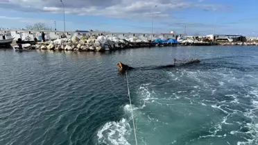 Yalova Sahillerinde Güvenli Çalışma: Denizden Ağaç Gövdesi Kaldırıldı