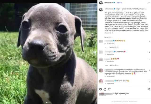 Rodin'in sevgi dolu bakışı