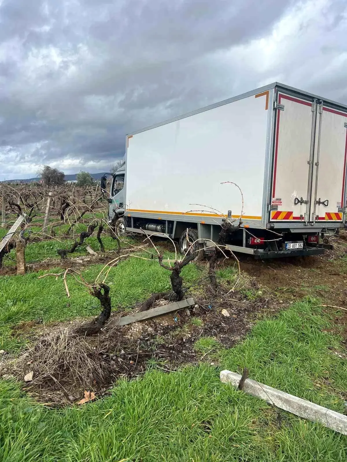 Buldan’da kamyonun üzüm bağına girdiği an