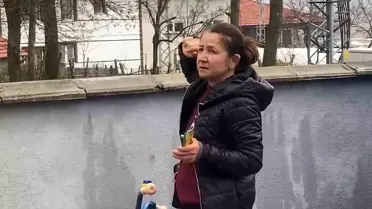 Bartın’da Bir Hafta Boyunca Ağaçta Kalan Yavru Kediye Yardım Çağrısı