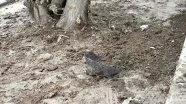 Kazanın gerçekleştiği kaygan yol