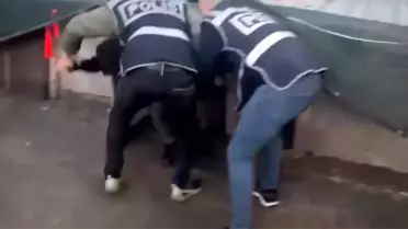 Kümes içinde gözalt anı