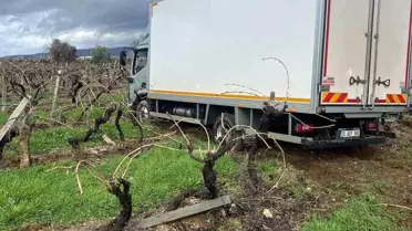 Buldan’da Şiddetli Yağış Sonrası Kamyon Üzüm Bağını Çarptı