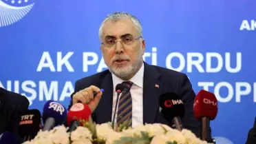 TÜİK işgücü istatistikleri görseli