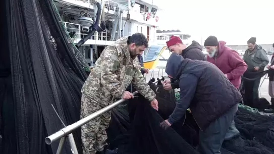 İğneada ve Gürcistan’da Hamsi Avı Düşüşte, Balıkçılar İstavrite Yöneliyor