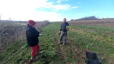 Edirne’nin Uzunköprü Köyünde Çiftçi Ailesi Topraktan Gelecek İnşa Ediyor