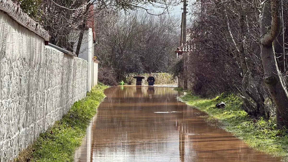 Muğla’da Gizemli Ölüm: Kadının Cesedi Ağaçta Asılı Bulundu