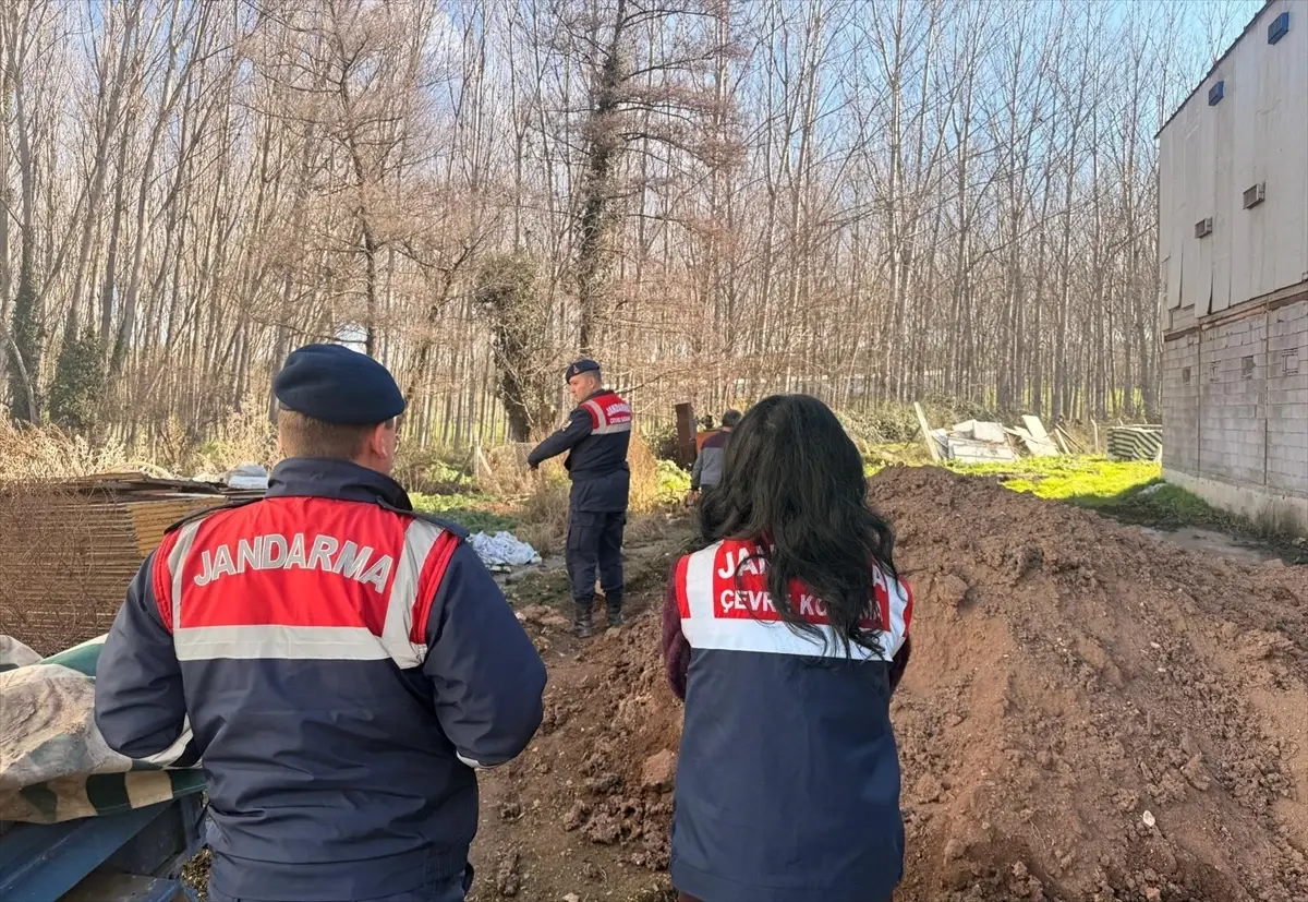 Sakarya’nın Taraklı İlçesinde Biyogüvenlik İhlali Nedeniyle Tavuk Çiftliği Kapandı