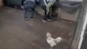 Kumeste Yakalanan Kaçak: İzmir'de Şok Gelişme