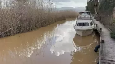 Denizde kahverengi suyun görüntüsü
