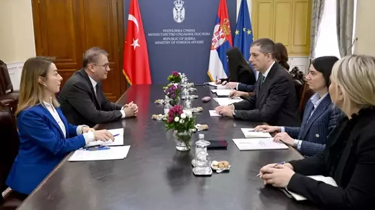 Sırbistan Dışişleri Bakanı Duric'ten Türkiye ile İkili İlişkiler Üzerine Değerlendirme