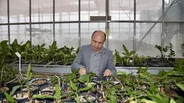 Antalya COP31: Tarım Teknolojileri Sahnesinde Yeni Dönem