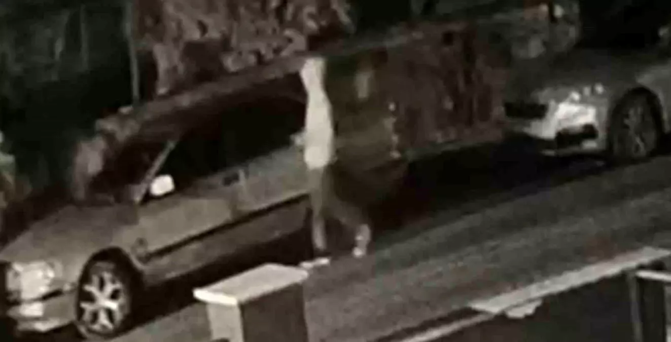 Eskişehir Şirintepe Mahallesi'nde tutuklama anı