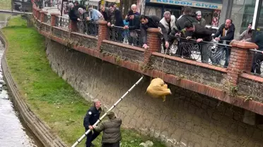 Ardeşen'de Sıcak Bir Kurtarma Operasyonu