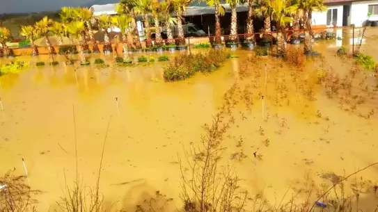 İzmir’de Şiddetli Sağanaklar Ahmetbeyli ve Ödemiş’te Su Baskınlarına Yol Açtı