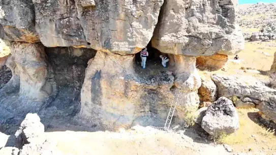 Diyarbakır’da Gülizar Bingöl Cinayeti: Sanıklara Ağırlaştırılmış Müebbet İddiası