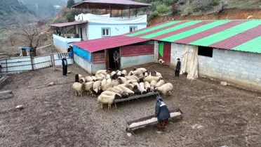 Depremzedeler İçin Hayvancılık: Kadir Aslan’ın Başarı Hikâyesi