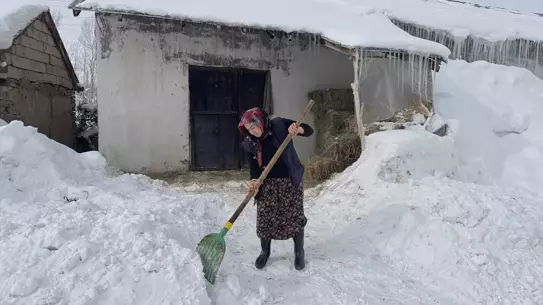 Elif Koca’nın Manda Çiftliğinde Dönüşüm: 5’ten 20’ye