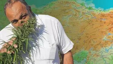 Kenevir Üretimine 21 İlde Yeni İzin: Tarım Bakanlığı’nın Güncel Yönetmeliği