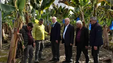 Manavgat'ta Hortumun Tarıma Etkileri ve Yeniden İnşa Çalışmaları