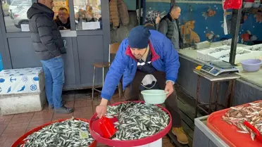 Zonguldak'ta Balık Fiyatları Rüzgârla Yükseldi: İstavrit 200 TL, Mezgit 400 TL
