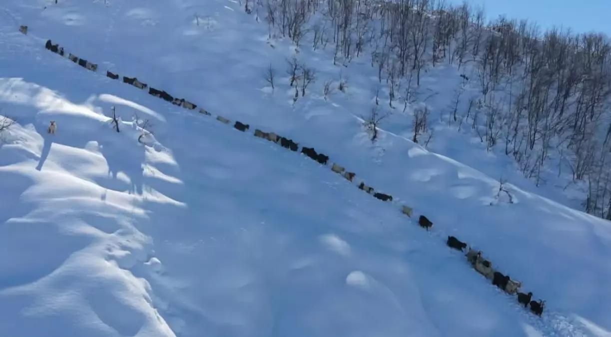 Mahkeme salonunda tutuklama anı