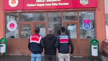 13 Yıl 9 Ay Hapis Cezalı Firari, Hakkari'de Jandarma Tarafından Yakalandı