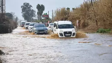 Ödemiş'te sağanak yağış sonrası zarar gören fidanlık