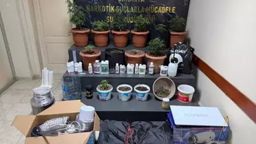 Operasyon sırasında ele geçirilen kenevir