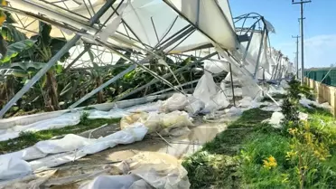 Manavgat'ta Hortumun Ardından Tarım Alanları Değerlendirildi