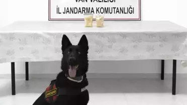 Van’da 510 Gram Eroin Şeklinde Büyük Uyuşturucu Operasyonu: İranlı Şüpheli Gözaltında