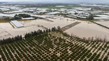 Yağmur ve hortumun sebze ve meyvelere etkisi