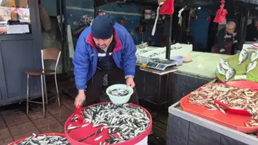 Zonguldak’ta Şiddetli Poyraz Balıkçılık Sektörünü Felç Etti