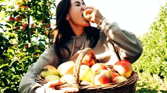 Lifli Besinler Beyin Sağlığını Nasıl Destekliyor?