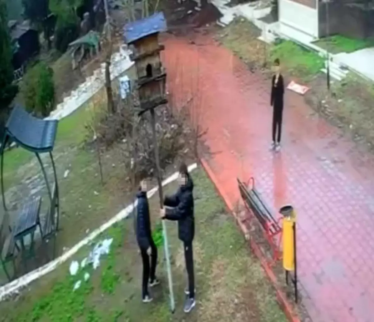 Adana’da Çocukların Kuş Yuvasına Zarar Vermesi Polis Soruşturmasını Başlattı