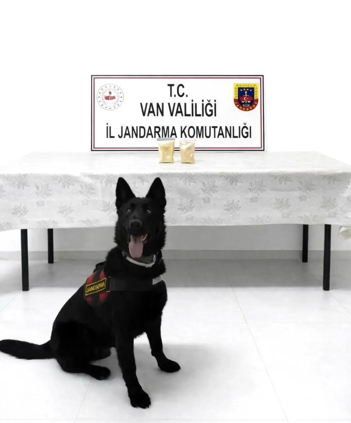 Van’ın Başkale İlçesinde Jandarma Operasyonu: 510 Gram Eroin Ele Geçirildi