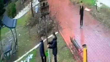 Kuş yuvasının tahrip edildiği an