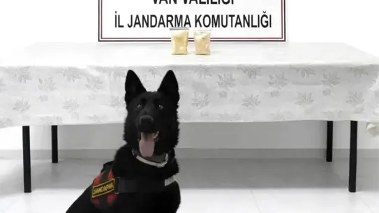Van’ın Başkale İlçesinde Jandarma Operasyonu: 510 Gram Eroin Ele Geçirildi