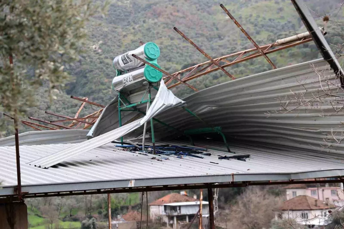 Aydın’da Şiddetli Fırtına Ev ve Ağaçları Yıktı, Can Kaybı Yok