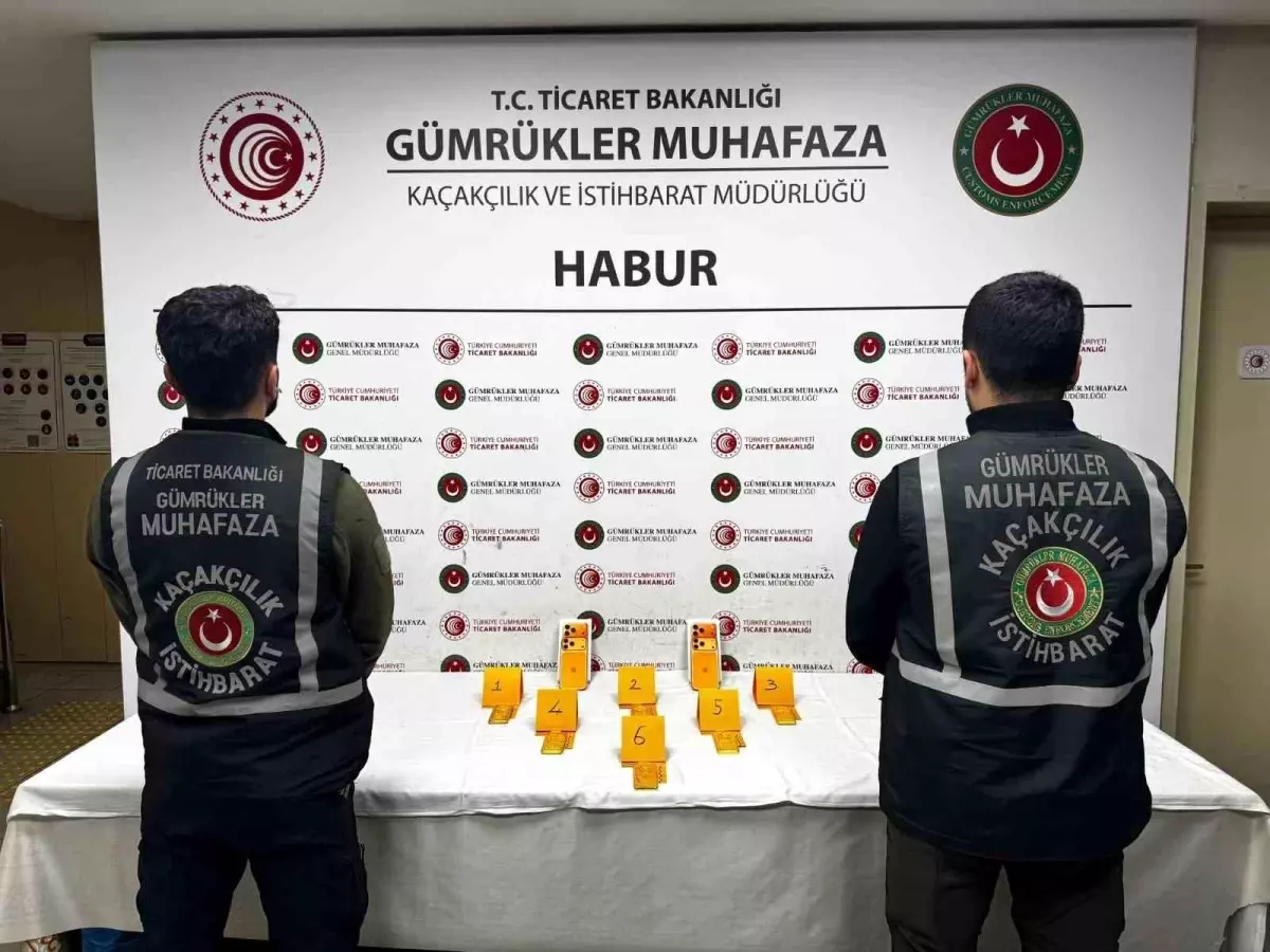Şırnak'ta Gümrükte Ayakkabı İçinde Saklanan 41 Kilogram Altın Ele Geçirildi