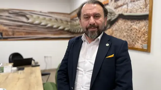 Yerel ayçiçeği tohumları üretim sahası