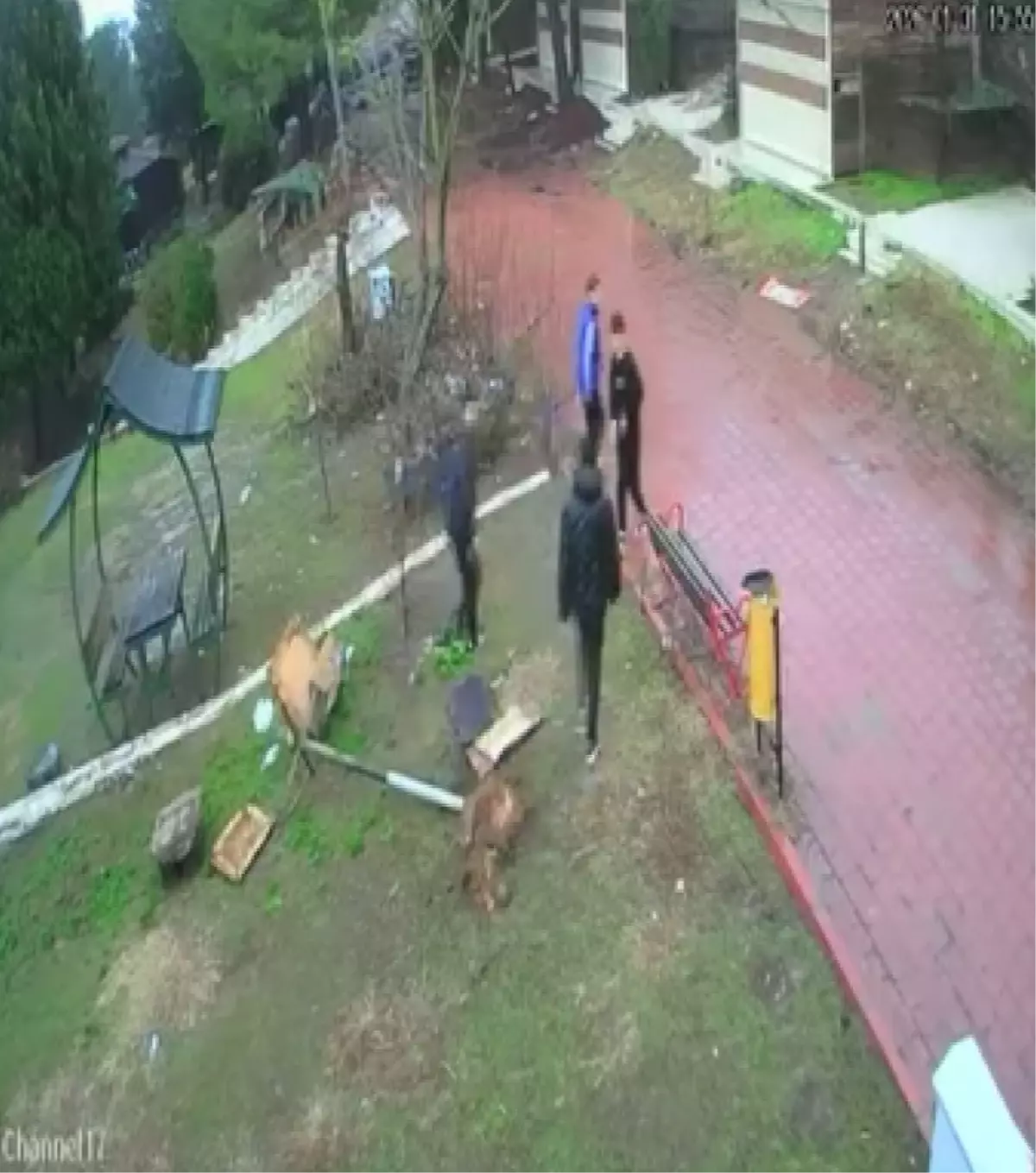 Adana’da Parkta Kuş Yuvasına Zarar Veren Çocuklar Olayı Görüntülendi